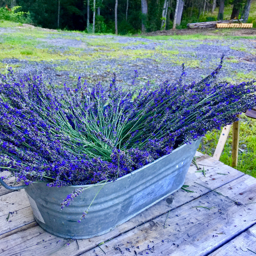 Lavender Sachet, and Bundles